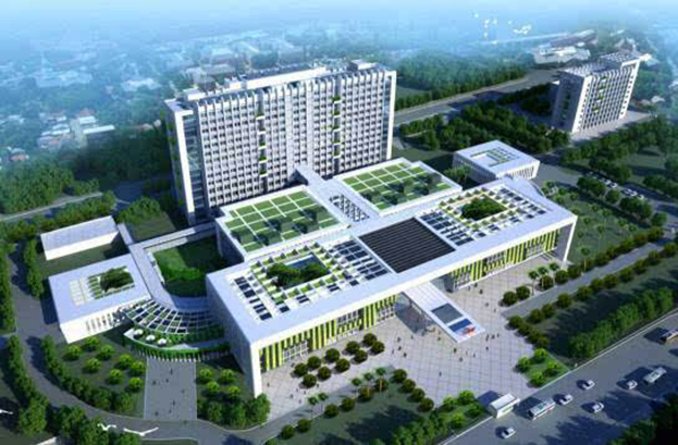 匠心建设 BTY必一体育（B体育）官方网站_BTY必一体育官方网站助力深圳成为 “医疗卫生高地”